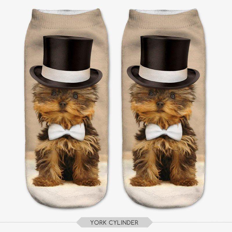 Product Socks - Dog Socks