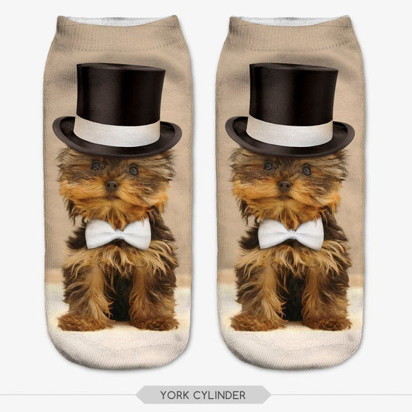 Product Socks - Dog Socks